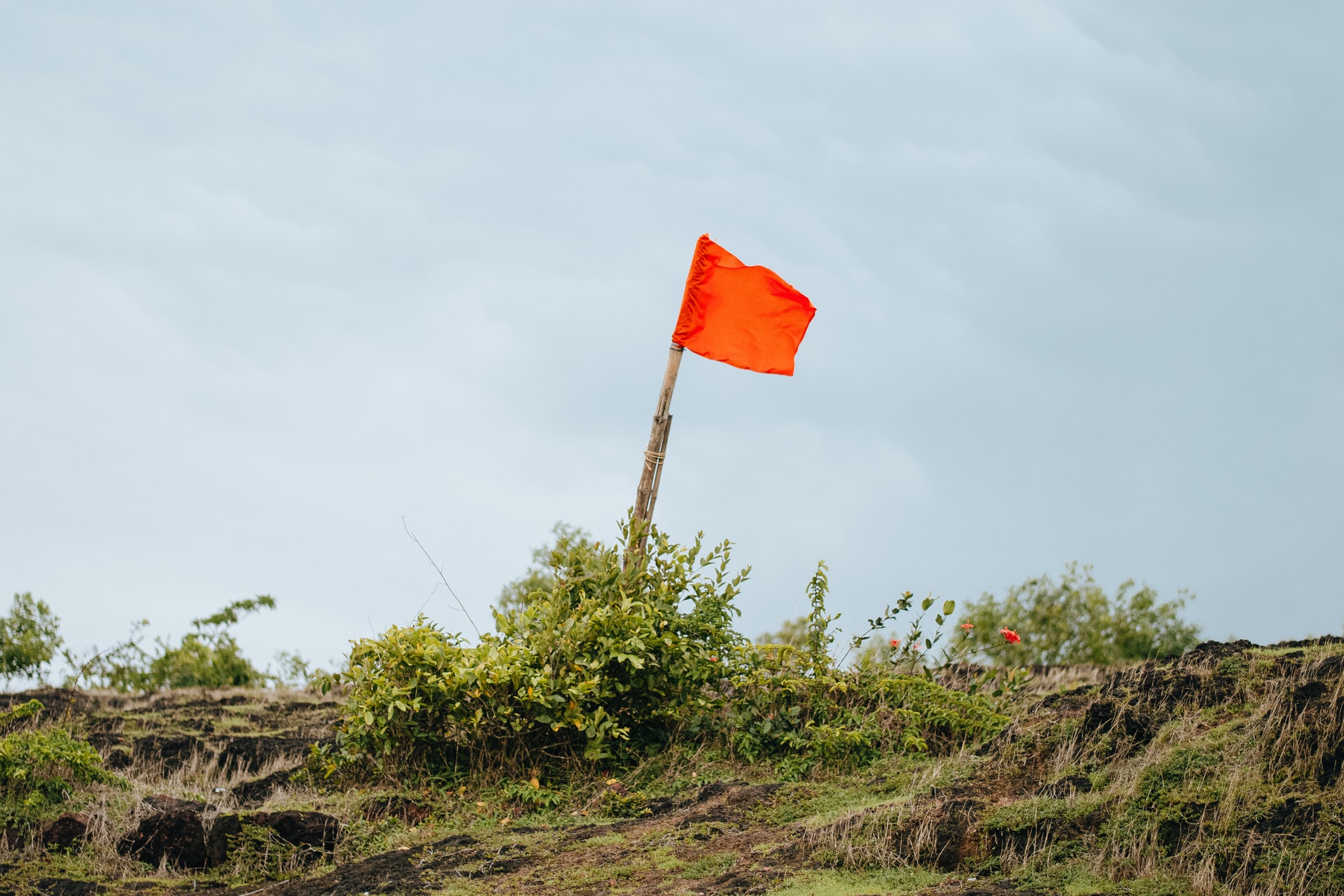 Red Flags in Commercial Due Diligence Process Part 2