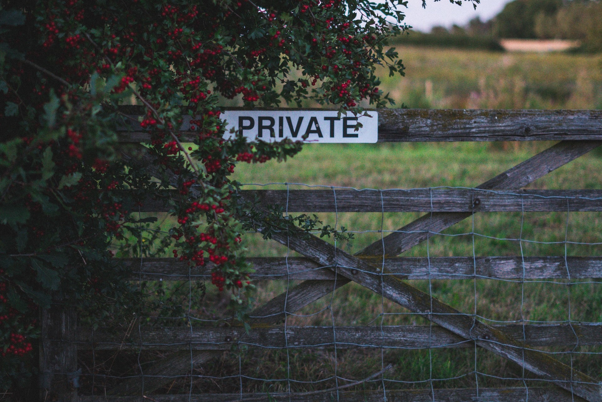 Safeguarding PII: Personal Data Privacy Basics